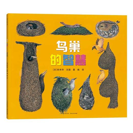 铃木守的鸟世界(全4册) 商品图2