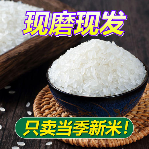 群艳寒地长粒香米5kg 商品图2