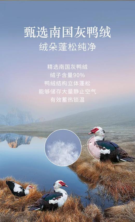 富安娜红嘴雁鸭绒被幻之寐彩·冬厚款 商品图3