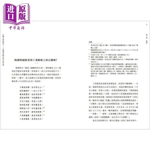 预售 【中商原版】中国文学的魅力 一位汉学家眼中的古典文学 港台原版 魏宁 香港中华书局 商品图3