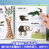 《我们的动物王国》绘本立体翻翻书，生动展示近30种动物宝宝的趣味生活，动物迷爱不释手（3-6岁） 商品缩略图4