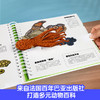 《我们的动物王国》绘本立体翻翻书，生动展示近30种动物宝宝的趣味生活，动物迷爱不释手（3-6岁） 商品缩略图3