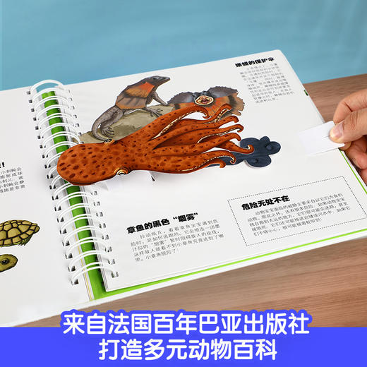 《我们的动物王国》绘本立体翻翻书，生动展示近30种动物宝宝的趣味生活，动物迷爱不释手（3-6岁） 商品图3