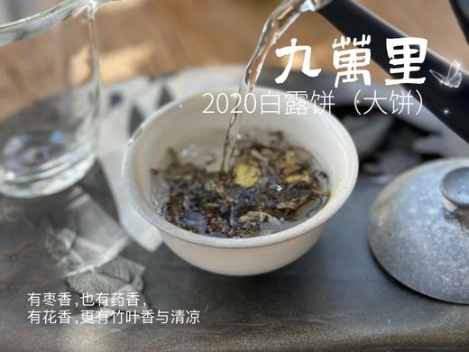 【年份白茶珍藏】5年花期，2020白露茶《九万里》，成了一块枣香与药香并列双姝的年份珍藏 商品图8