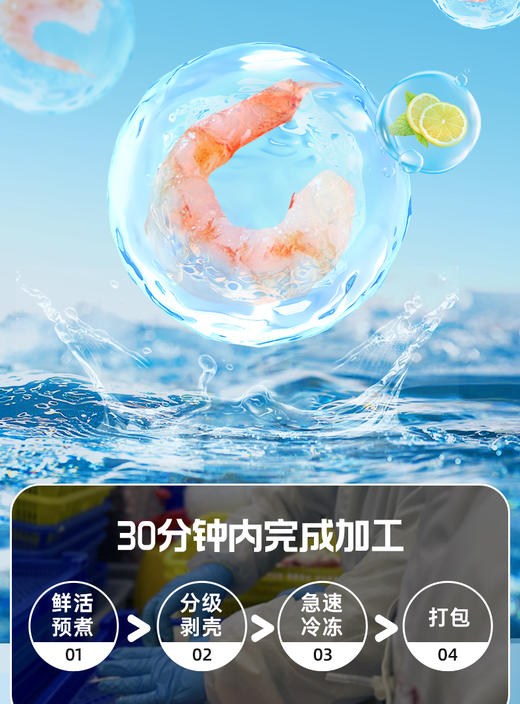 【海朴】丹麦北极甜虾熟冻虾盒装去壳去虾头鲜美方便食用 商品图3