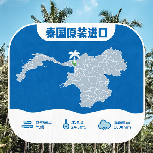 椰子知道100%NFC椰子水1L/瓶 商品图5