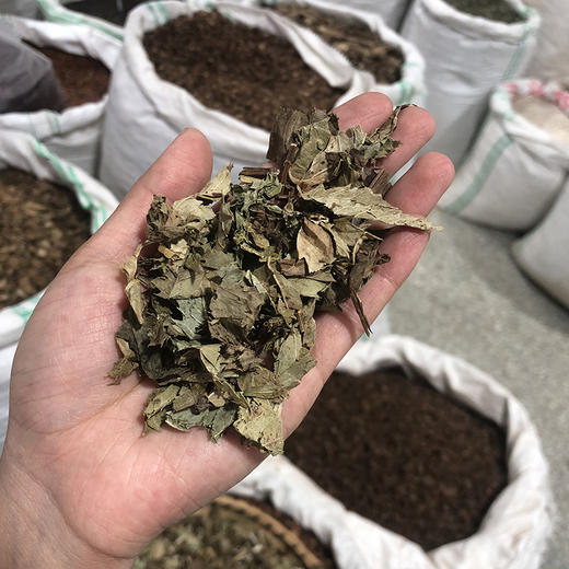 泽兰 当季新货 农家生晒 中药材 商品图4