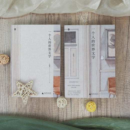 一个人的世界文学【北贝】 商品图3