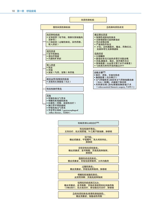 重症医学路径 于湘友 杜斌 宋云林主译 重症医学医师须掌握的核心知识点 基础知识诊断方法治疗技术 人民卫生出版社9787117362917 商品图3