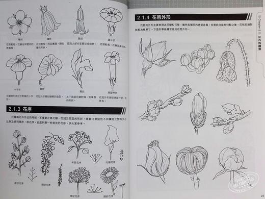 【中商原版】从零开始 实用速写技法课 学习绘画的入门手册 港台艺术原版 张玉红 邦联文化出版 商品图5