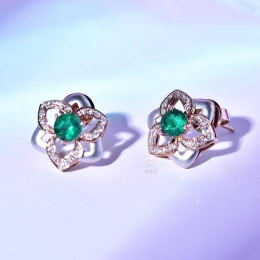 【绽放】祖母绿耳钉-CB12304130 商品图4