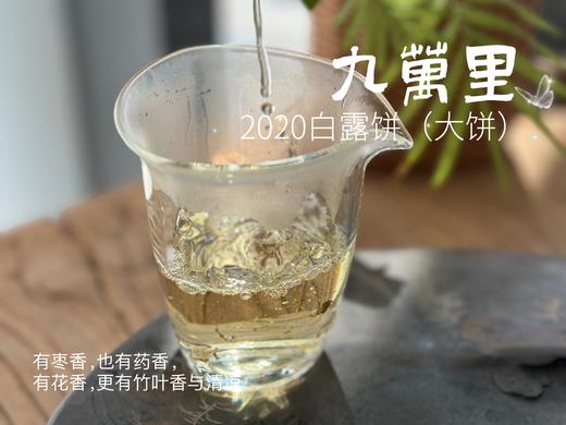 【年份白茶珍藏】5年花期，2020白露茶《九万里》，成了一块枣香与药香并列双姝的年份珍藏 商品图10