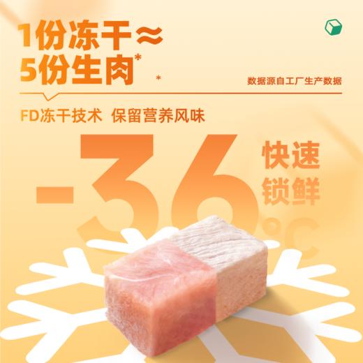猫狗零食｜五拼多肉冻干桶｜五拼多营养｜100%动物性原料｜真肉原切 商品图3