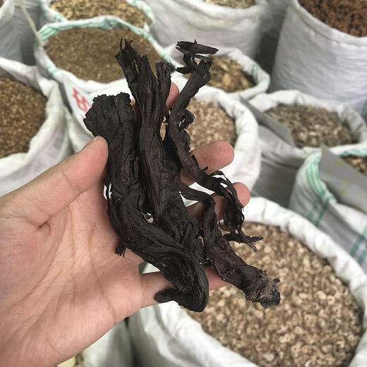 紫草 当季新货 农家生晒 中药材 商品图4