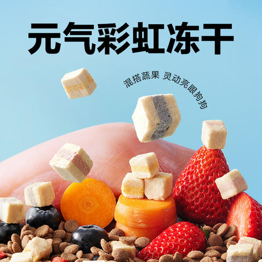 全价三拼鸭肉梨犬粮试吃装120g 商品图5