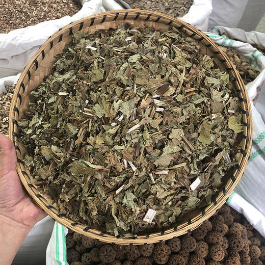 泽兰 当季新货 农家生晒 中药材 商品图0