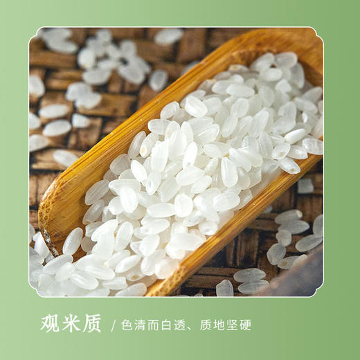 媛妈家贡粮72超鲜米10kg 编织袋装东北大米 商品图3