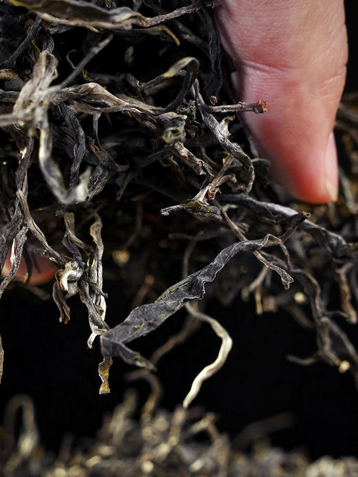 2024年头春头采【麻黑散茶】现货直发 易武标杆性味道，300克/份；拍5发6拍20发25 商品图8