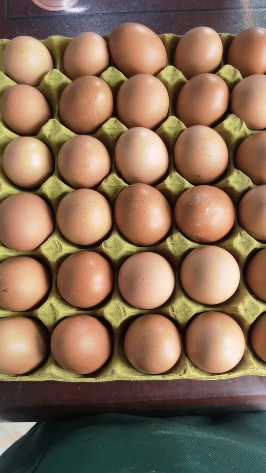 实蛋30个 商品图0