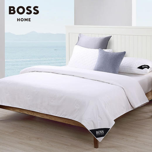 Hugo Boss  压花LOGO桑蚕丝被  203×230cm 商品图0