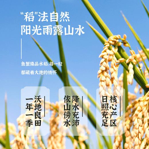 媛妈家东北生态大米5kg 编织袋装东北大米 商品图4