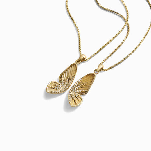 订购6周到｜AWE-Butterfly Wing-比翼蝴蝶 金色 项链［美国设计师］ 商品图1