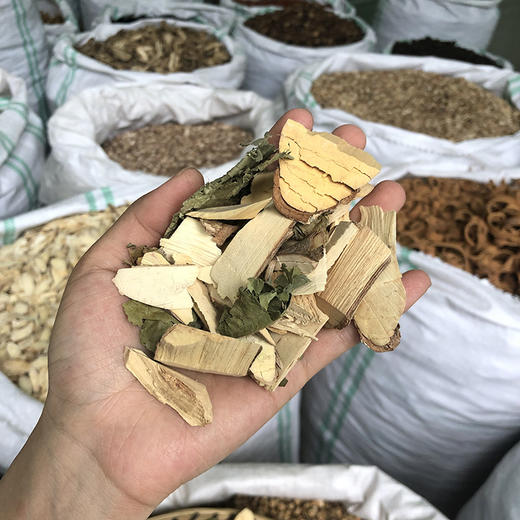 美登木  云南特有药材 西双版纳产 商品图2