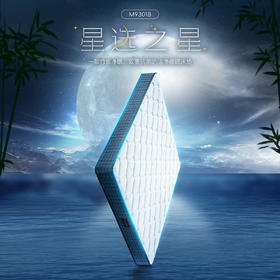 顾家家居整装 床垫 M9301B 星选之星