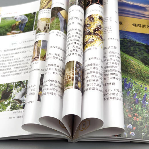 中意蜂养殖一本通【中国农业出版社官方正版】 商品图2
