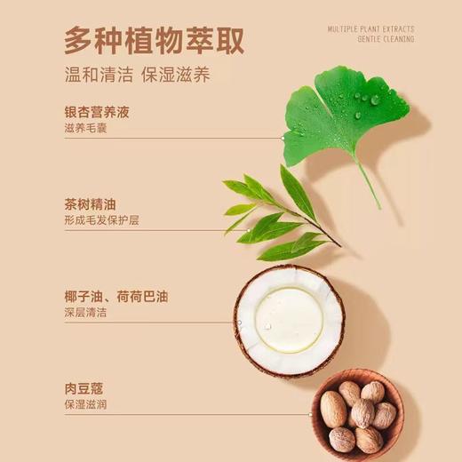 【猫咪】雪貂沐浴露多效多款无泪配方温和不刺激 商品图3