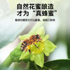 【正宗同仁堂品牌】北京同仁堂 枣花蜂蜜300克 漏斗型瓶装 原料纯粹 拒绝添加 便携易使用SY 商品缩略图1