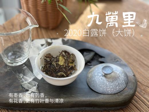 【年份白茶珍藏】5年花期，2020白露茶《九万里》，成了一块枣香与药香并列双姝的年份珍藏 商品图7