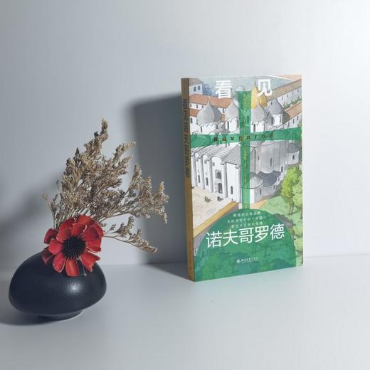 看见诺夫哥罗德 （法）皮埃尔·格努 著  程水英 译 北京大学出版社 商品图1