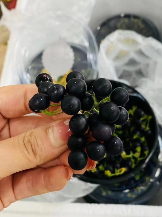 黑悠悠一盒 商品图1