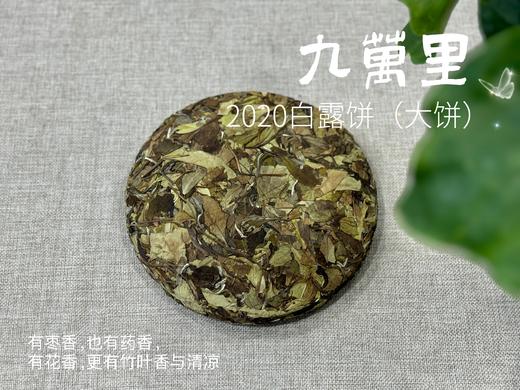 【年份白茶珍藏】5年花期，2020白露茶《九万里》，成了一块枣香与药香并列双姝的年份珍藏 商品图1