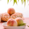 本姑娘阳山水蜜桃6个礼盒装(珍品) 商品缩略图3