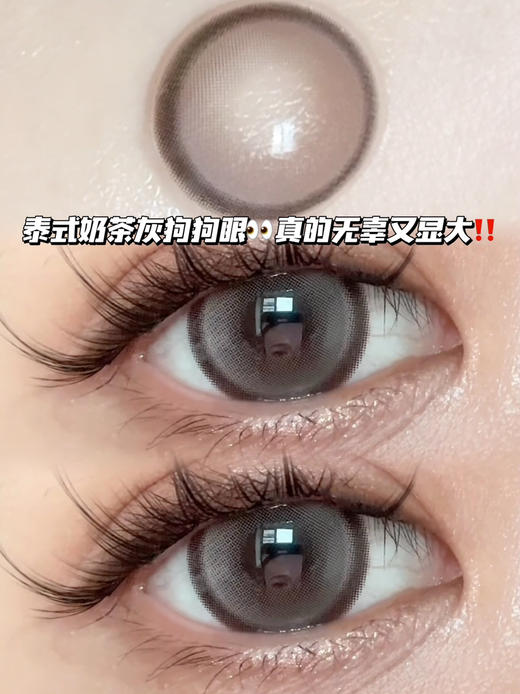 milk tea 泰式奶茶狗狗眼灰·半年抛 商品图1