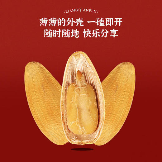 陈皮瓜子300g/袋 商品图3