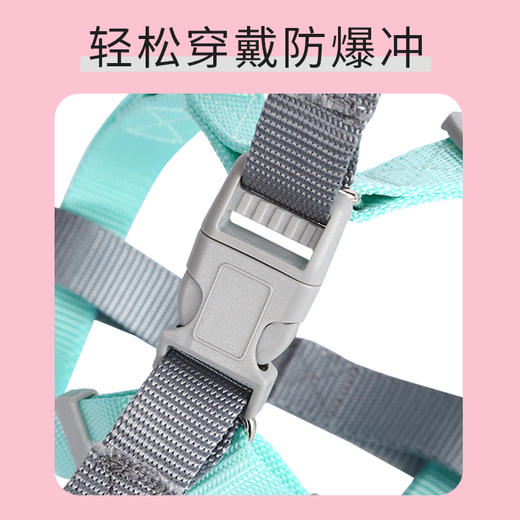 奥芬洁马卡龙色系宠物狗狗牵引绳 商品图4