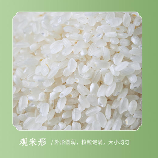 媛妈家贡粮72超鲜米10kg 编织袋装东北大米 商品图4
