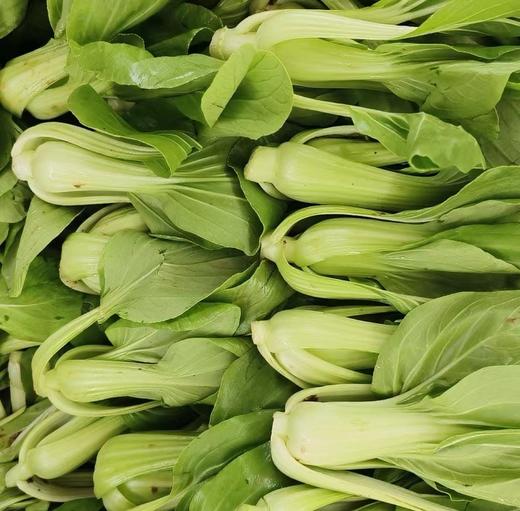 鸿翠园 有机油菜 商品图11