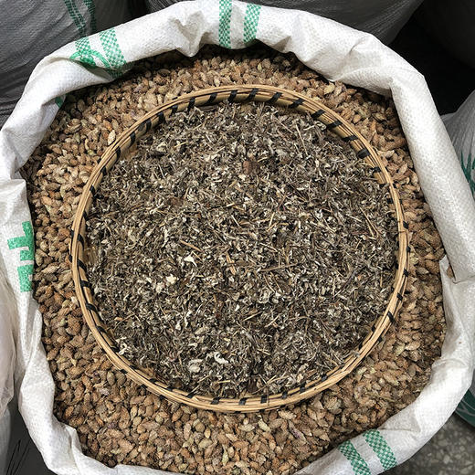 翻白草 当季新货 农家生晒 中药材 商品图1