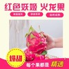 严选 | 红色妖姬火龙果 4.5斤大果/4斤特大果 皮薄肉厚 汁水充沛 商品缩略图0