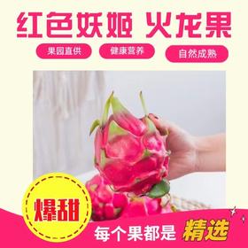 严选 | 红色妖姬火龙果 4.5斤大果/4斤特大果 皮薄肉厚 汁水充沛