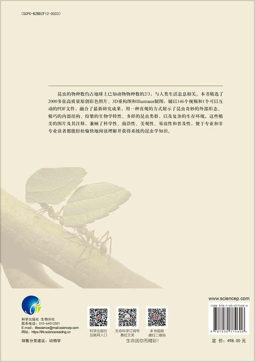 图解昆虫学 商品图2