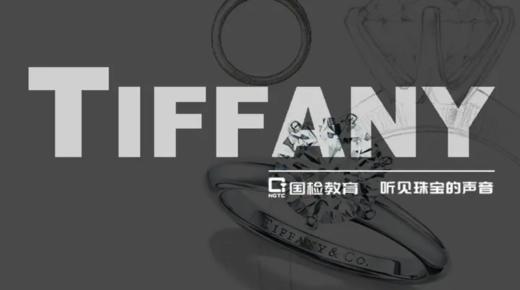 听见珠宝声音-Tiffany6 商品图0