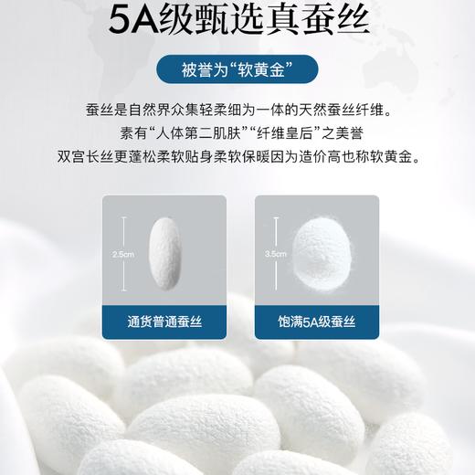 zeamo 竹纤维护膝A/蚕丝护膝 空调房专用 舒适透气 居家必备 商品图6