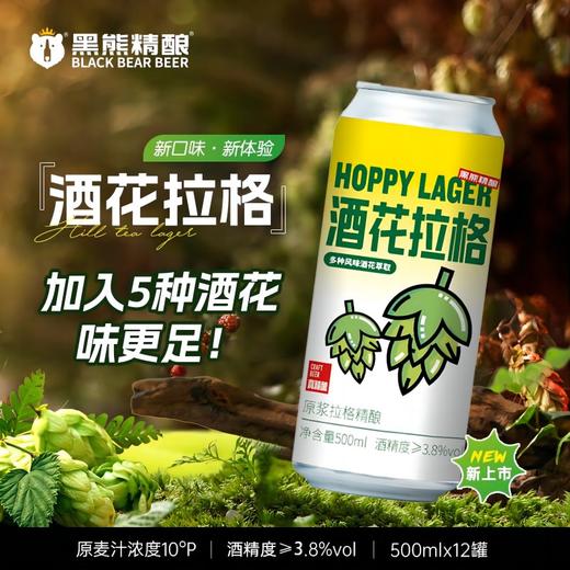 【黑熊精酿啤酒】酒花拉格10°P 500ml*6听/12听 商品图0