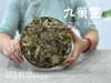 【年份白茶珍藏】5年花期，2020白露茶《九万里》，成了一块枣香与药香并列双姝的年份珍藏 商品缩略图2