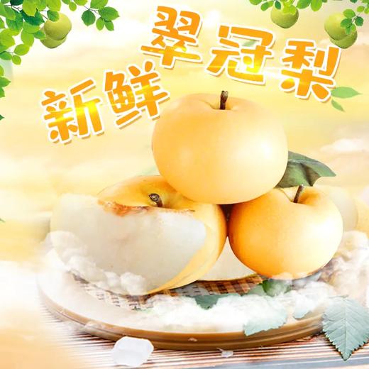 永新套袋果翠冠梨清甜可口9个装 商品图0